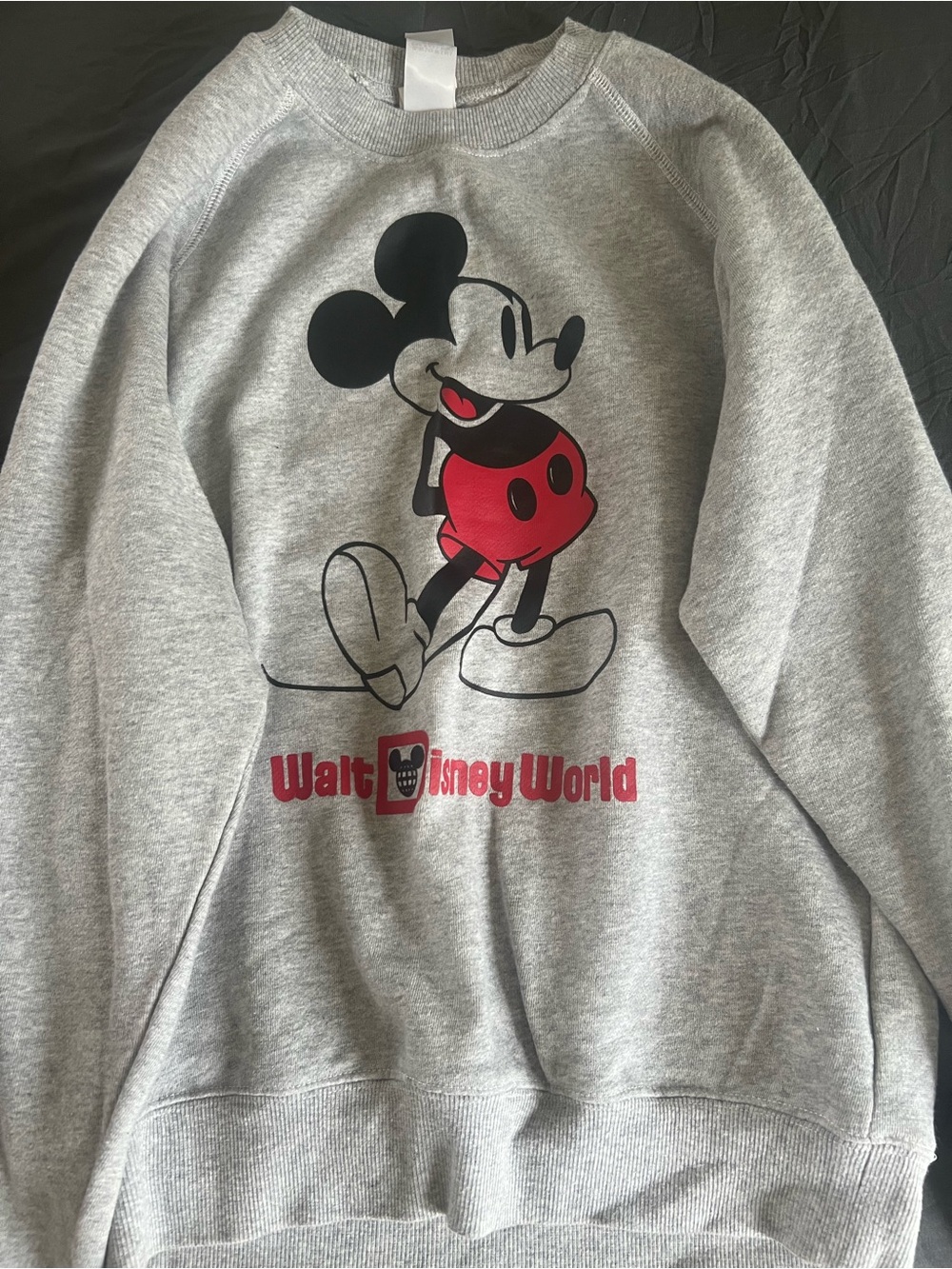 Disney Light Gray Sweatshirt with Mickey Logo